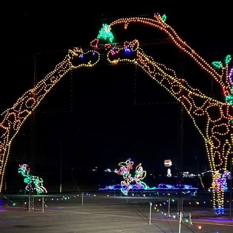 Tall giraffes greet guests at the opening of the Santa's Safari collection at Food City Speedway In Lights. There are more than 40 LED displays in the Santa's Safari collection.